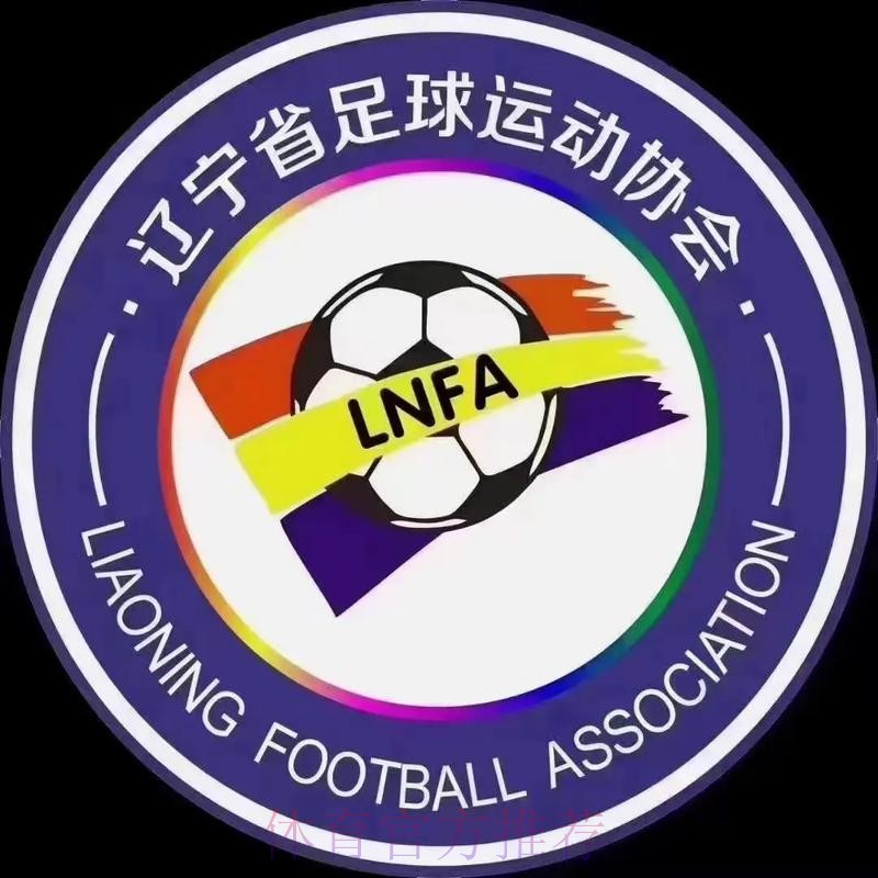 中国足球大省辽宁完成足协改制 中国足球大省辽宁完成足协改制